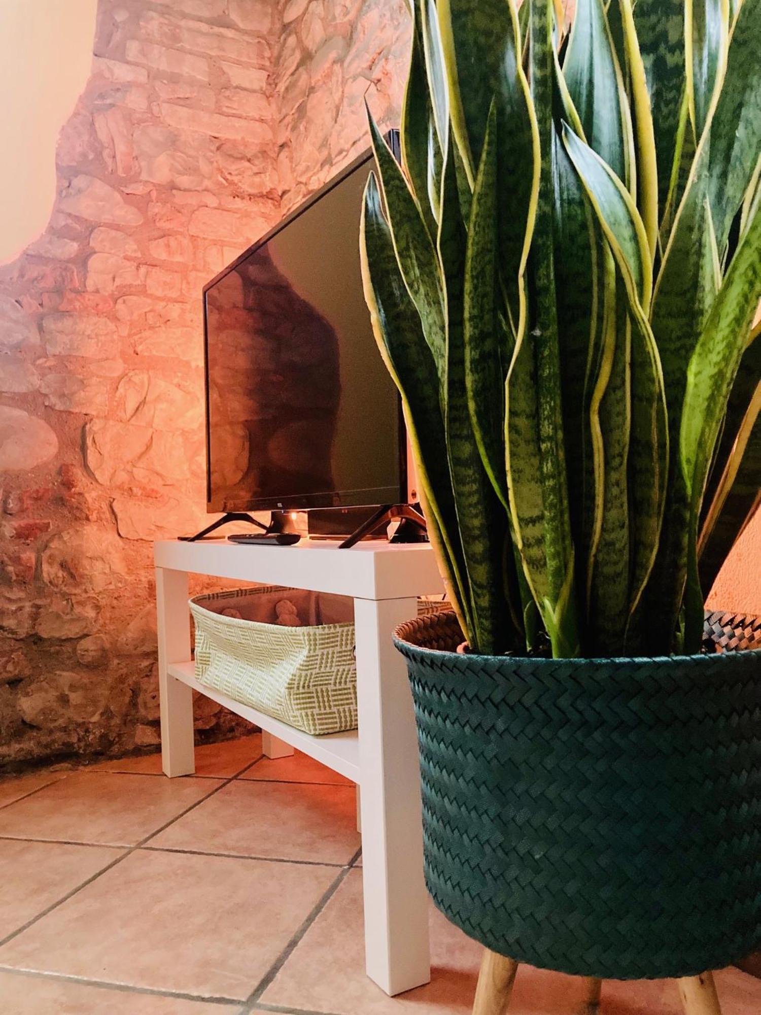 Residenza Borgo 9 Apartman Collecchio Kültér fotó